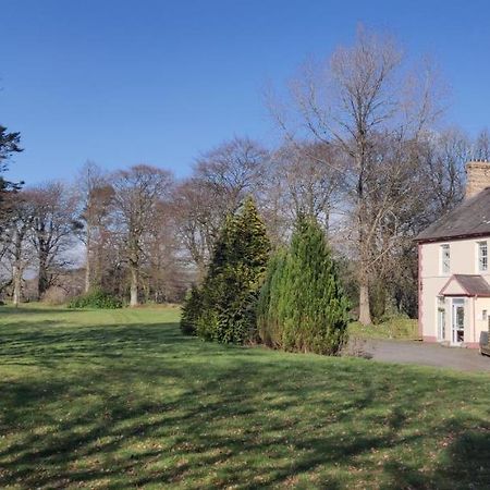 Glan Brennig Bed & Breakfast Tregaron ภายนอก รูปภาพ