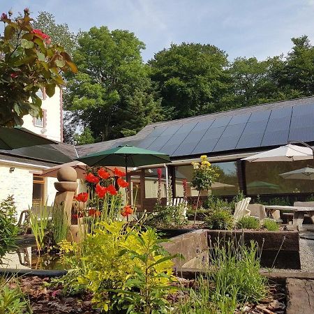 Glan Brennig Bed & Breakfast Tregaron ภายนอก รูปภาพ