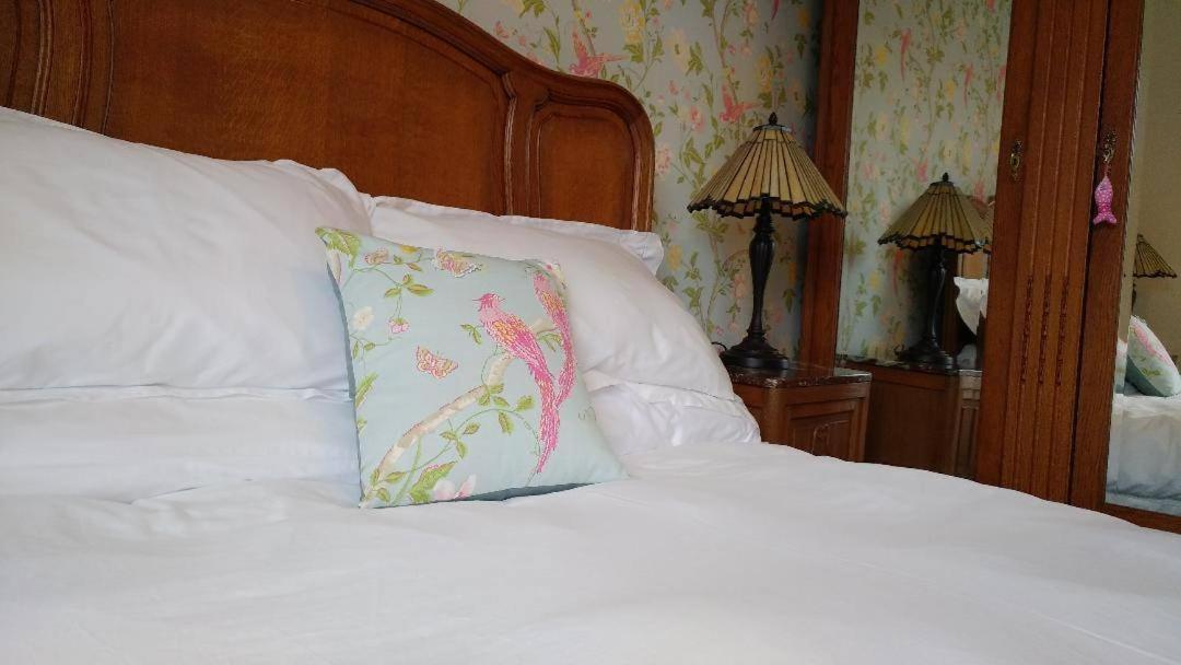 Glan Brennig Bed & Breakfast Tregaron ภายนอก รูปภาพ