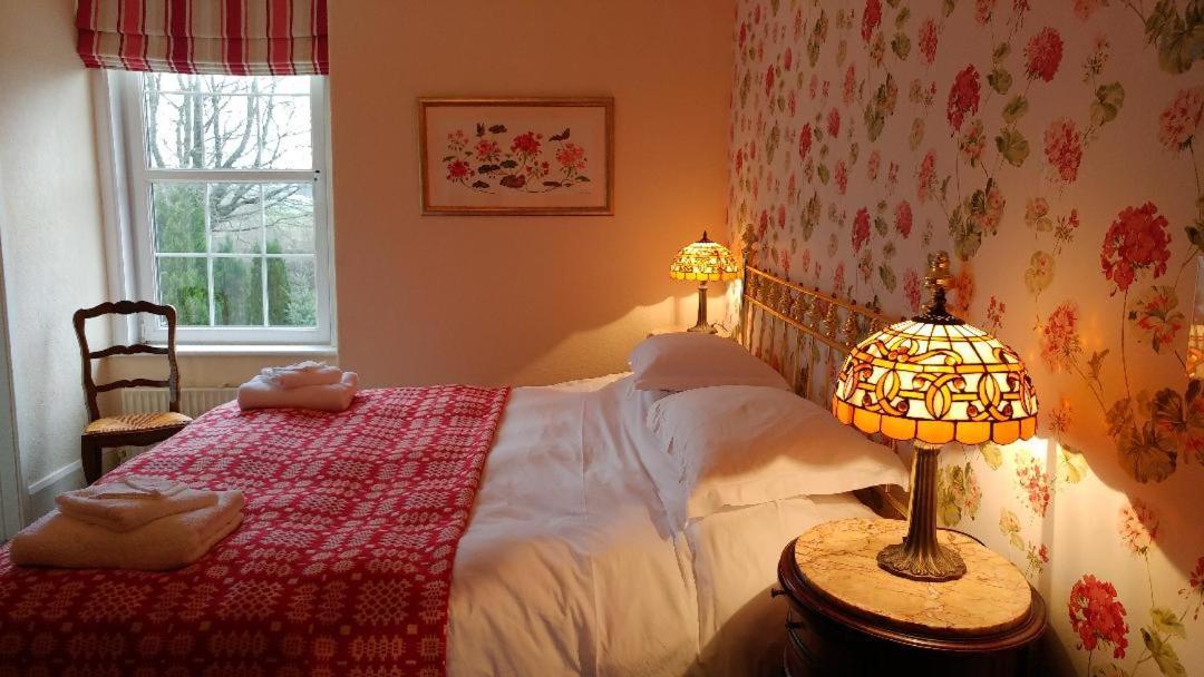 Glan Brennig Bed & Breakfast Tregaron ภายนอก รูปภาพ