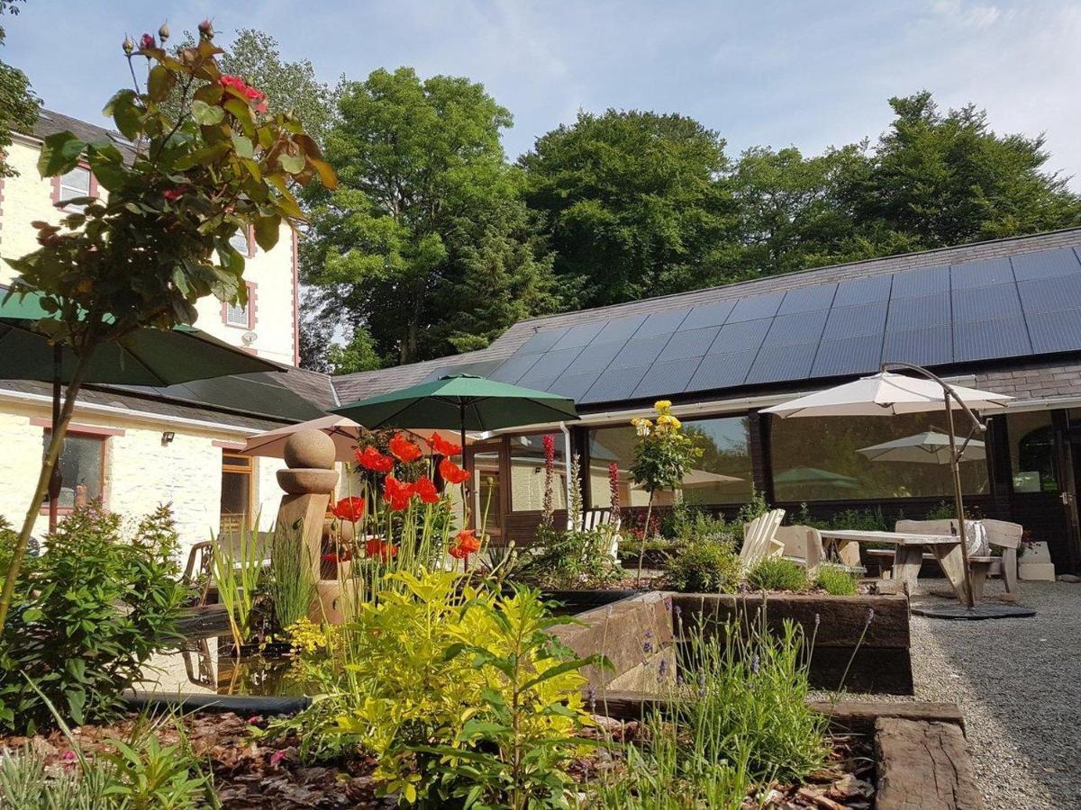 Glan Brennig Bed & Breakfast Tregaron ภายนอก รูปภาพ