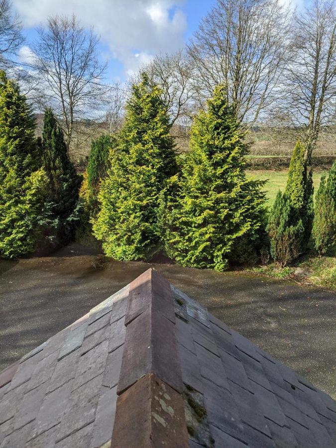 Glan Brennig Bed & Breakfast Tregaron ภายนอก รูปภาพ